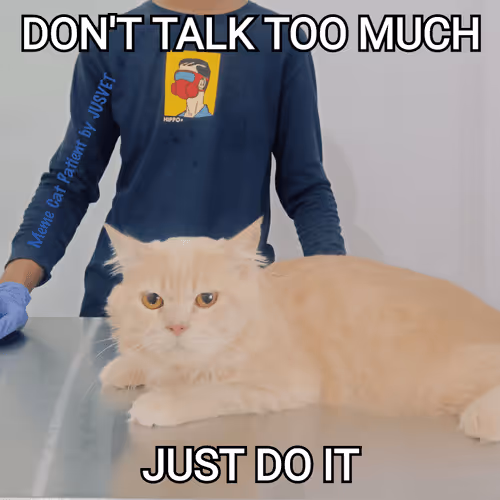 Item #66477539835856069096883734032497373162095528014310058326281939870085034278913 Media