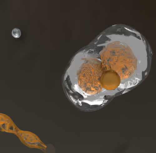 Item #15900858524274065462397165605509062893973264951757804275935713256551869317121 Media