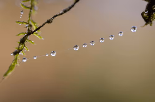 Untitled Collection #80594968