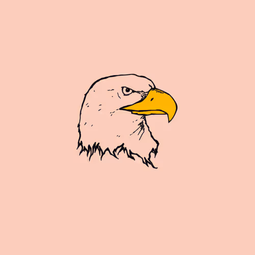 massotoEagle Collection