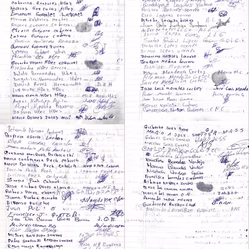 Proof of integration - Calakmul