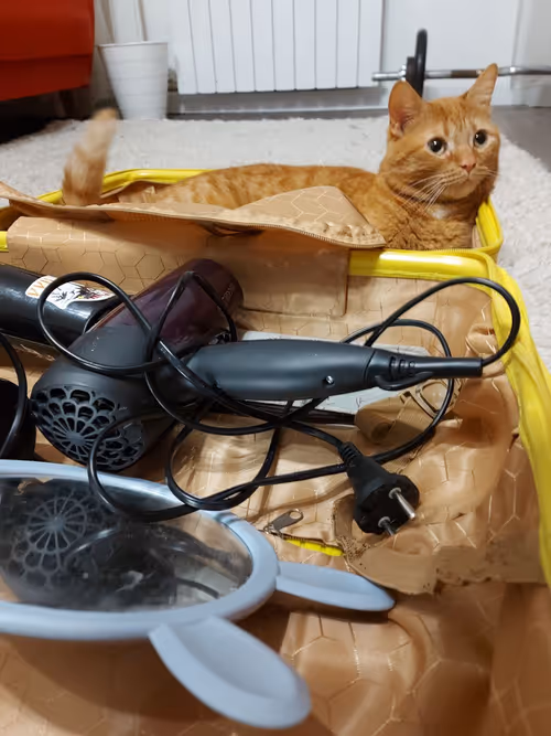 Item #74885386125841679683657863817676557915419392690100599251571086919802334216193 Media