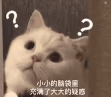 Untitled Collection #60416366