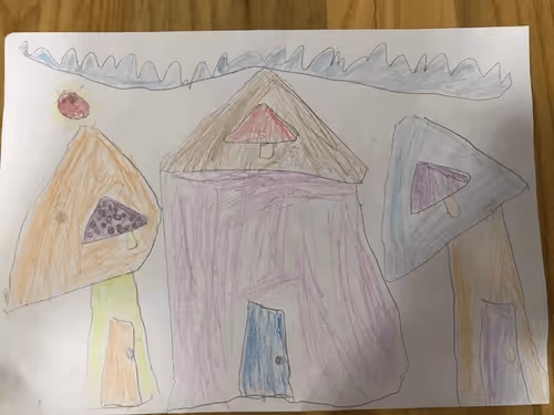 Untitled Collection #50208017