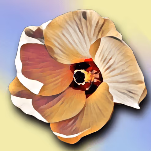 DigitalArtofFlowers