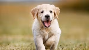 Untitled Collection #267800680