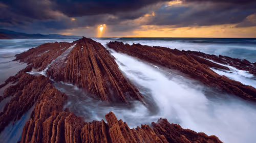 xunfa2019 Collection