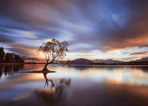 Untitled Collection #131885835