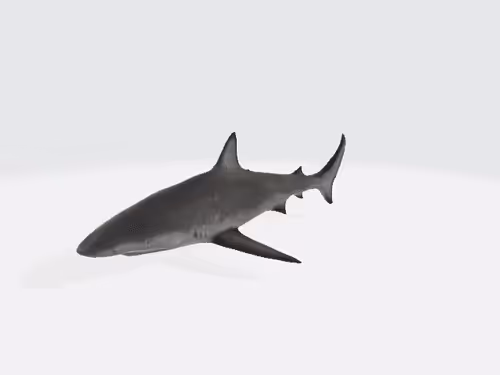 15009102230280779827535312322766623134757849392359860066648722952391713882162