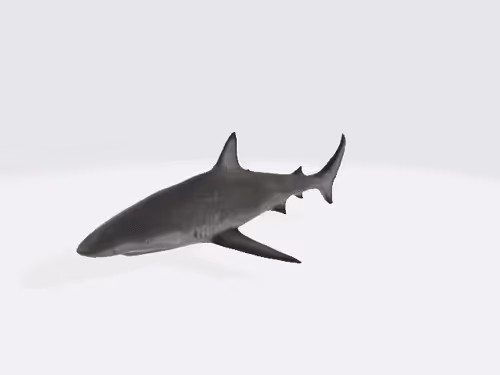 Item #15009102230280779827535312322766623134757849392359860066648722952391713882162 Media