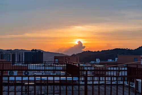 Untitled Collection #28493298