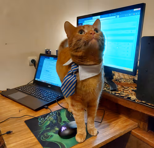 Item #74885386125841679683657863817676557915419392690100599251571086936295008632833 Media