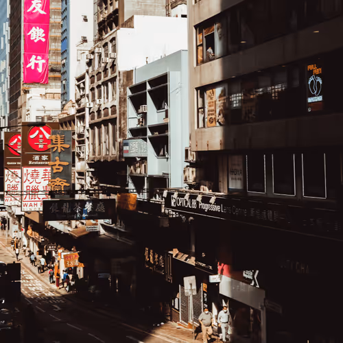 iristography Collection