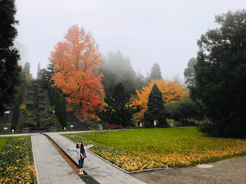 Untitled Collection #83057049