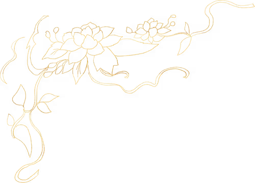 Untitled Collection #63865922