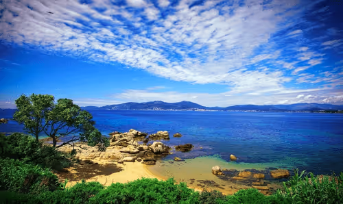 Untitled Collection #78049225