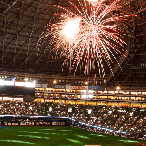 Untitled Collection #60815018