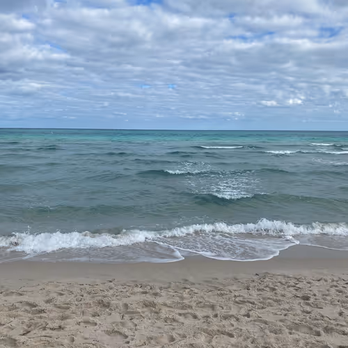 Untitled Collection #69412667