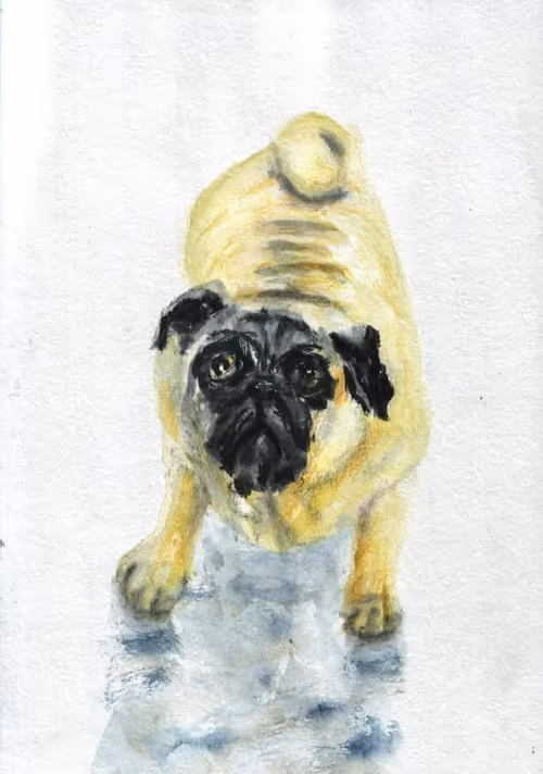 Item #53661683660994396488981893260373811515315705590489664499670501578326975547040 Media