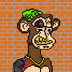 Bored Ape Pixel Society