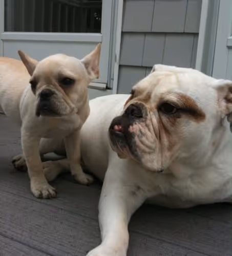 Untitled Collection #73072163