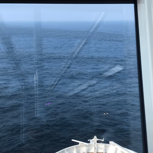 anye_kaka Collection