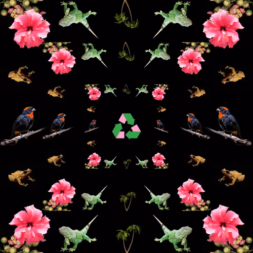 Untitled Collection #71474210