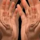 Opticals illusions