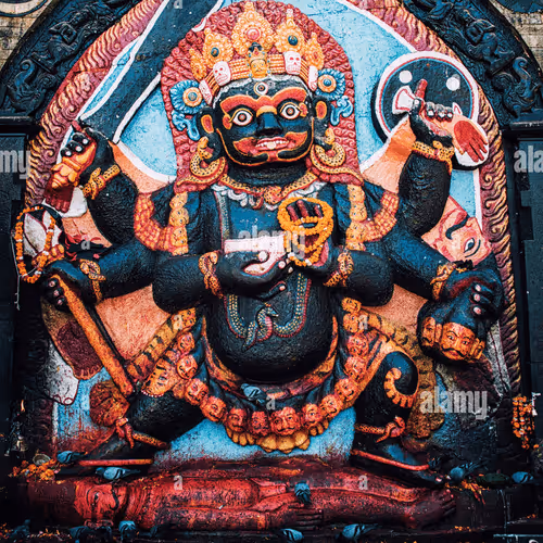 Untitled Collection #116273645