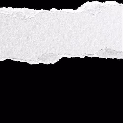 Untitled Collection #55850045