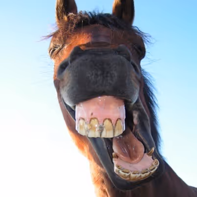 Untitled Collection #255933989