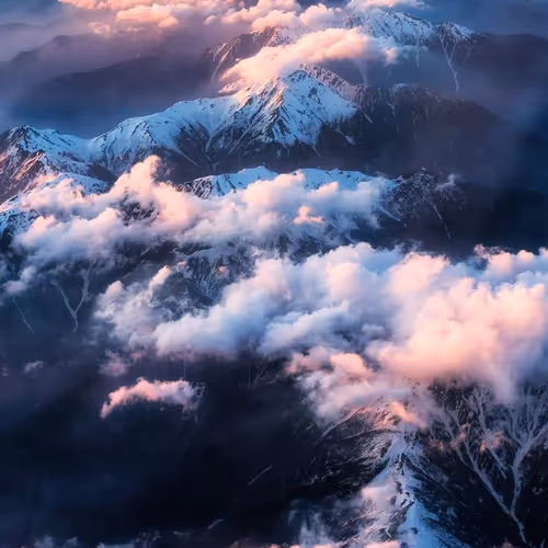 Untitled Collection #179210655