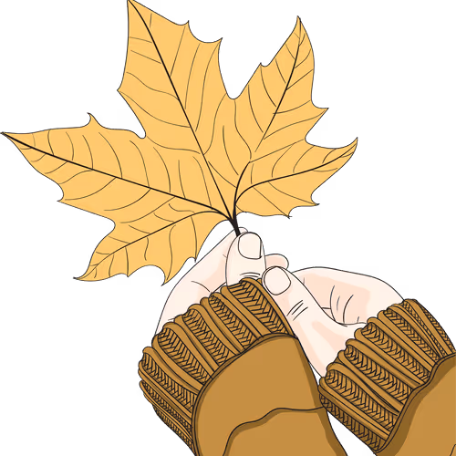 Untitled Collection #102018720