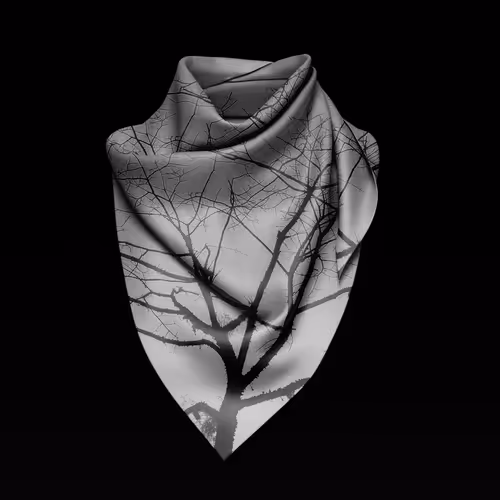 radsuccess Collection