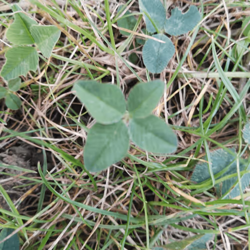 Untitled Collection #40787639