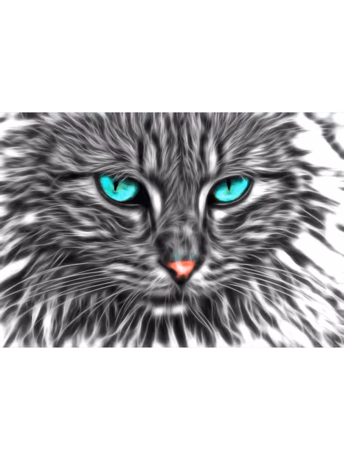 Item #70469049229583053751456040592558374656766630238032944084073234339695045902341 Media