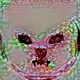 12482792354778603536870493661677667771100417371327063648612542936490719576065