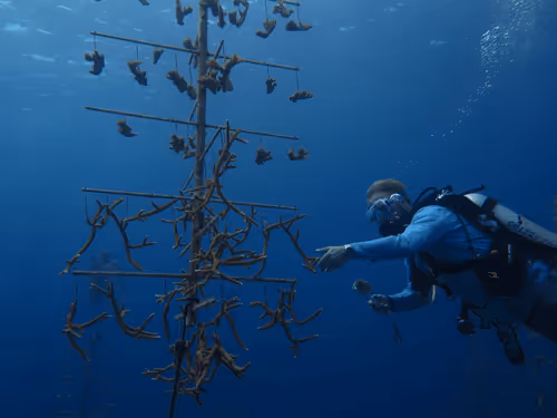 Untitled Collection #268952890