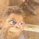 33296739070710136013243765166117054542811736970736272210757136426117875367937