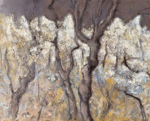 metaentropy Collection