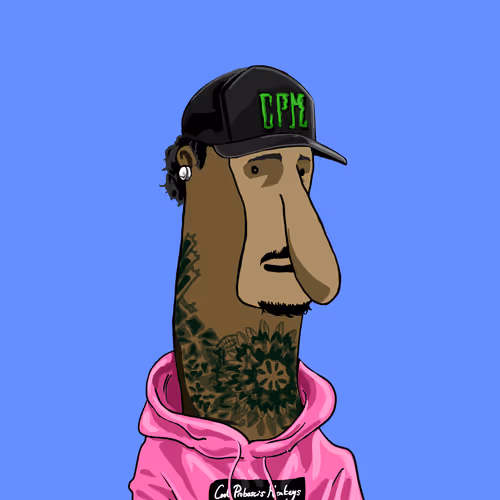 Untitled Collection #263993635