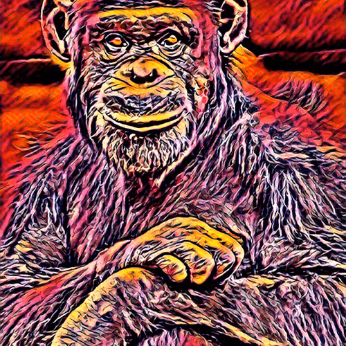 Serious ape trend