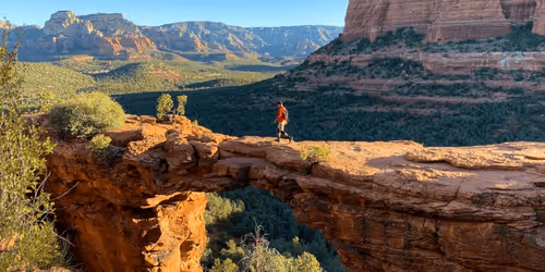 Untitled Collection #91042135