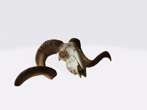 15009102230280779827535312322766623134757849392359860066648722951292202254386