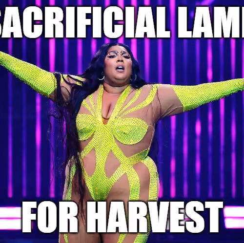 Next Year's Harvest
