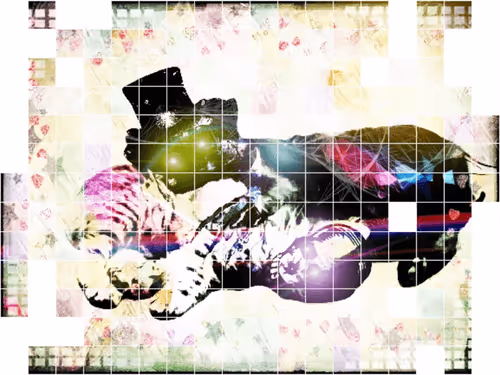 Untitled Collection #83953275