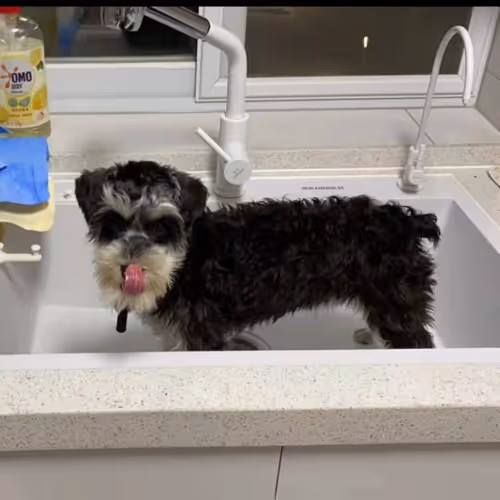 Untitled Collection #38492127