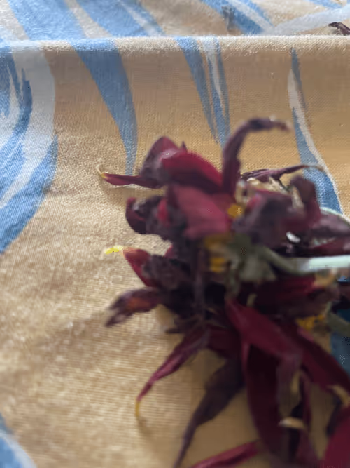 Item #56786364923328888236771983262377887292768613234173091291743774276052207009793 Media