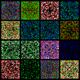 Pixel_Rest Collection