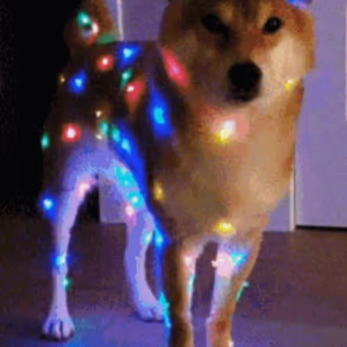 Untitled Collection #2630298290